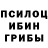 Галлюциногенные грибы Magic Shrooms Nazar Daniar