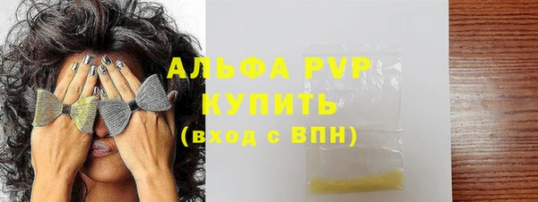 трава Белокуриха