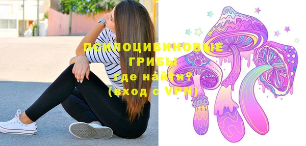 трава Белокуриха