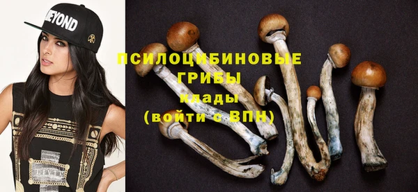 молекула духа Беломорск