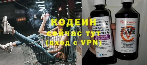 трава Белокуриха