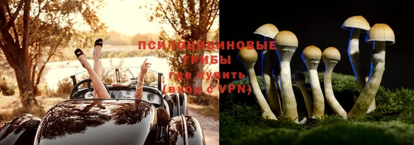 молекула духа Беломорск