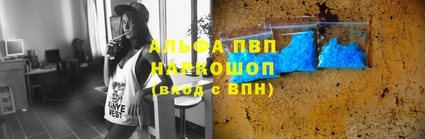 трава Белокуриха