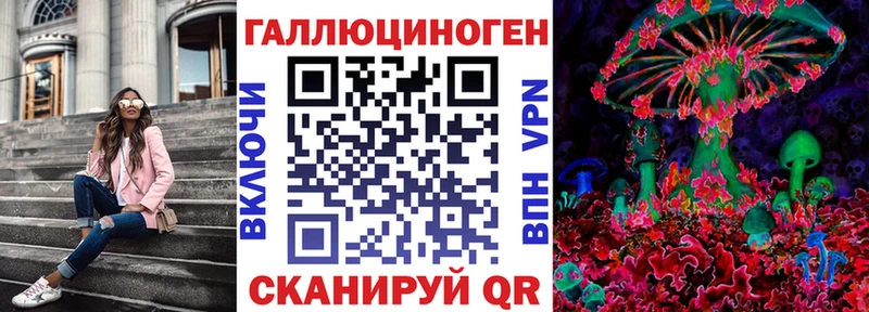 Псилоцибиновые грибы Magic Shrooms  продажа наркотиков  МЕГА зеркало  Щигры 